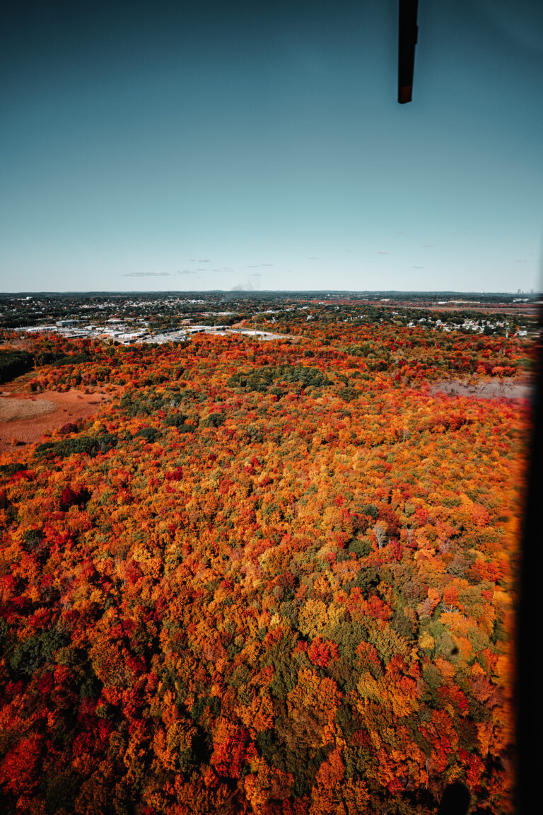 Fall Foliage in Boston
